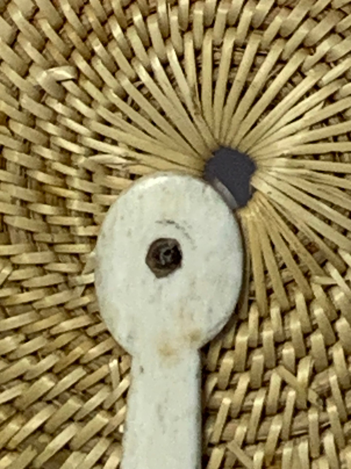 Vintage Handwoven Fixed Hand Fan