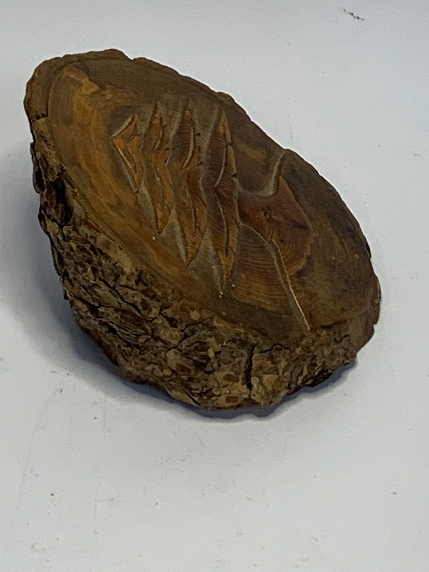 Hand Carved Wood Slice featuring a detailed evergreen tree design carved in relief