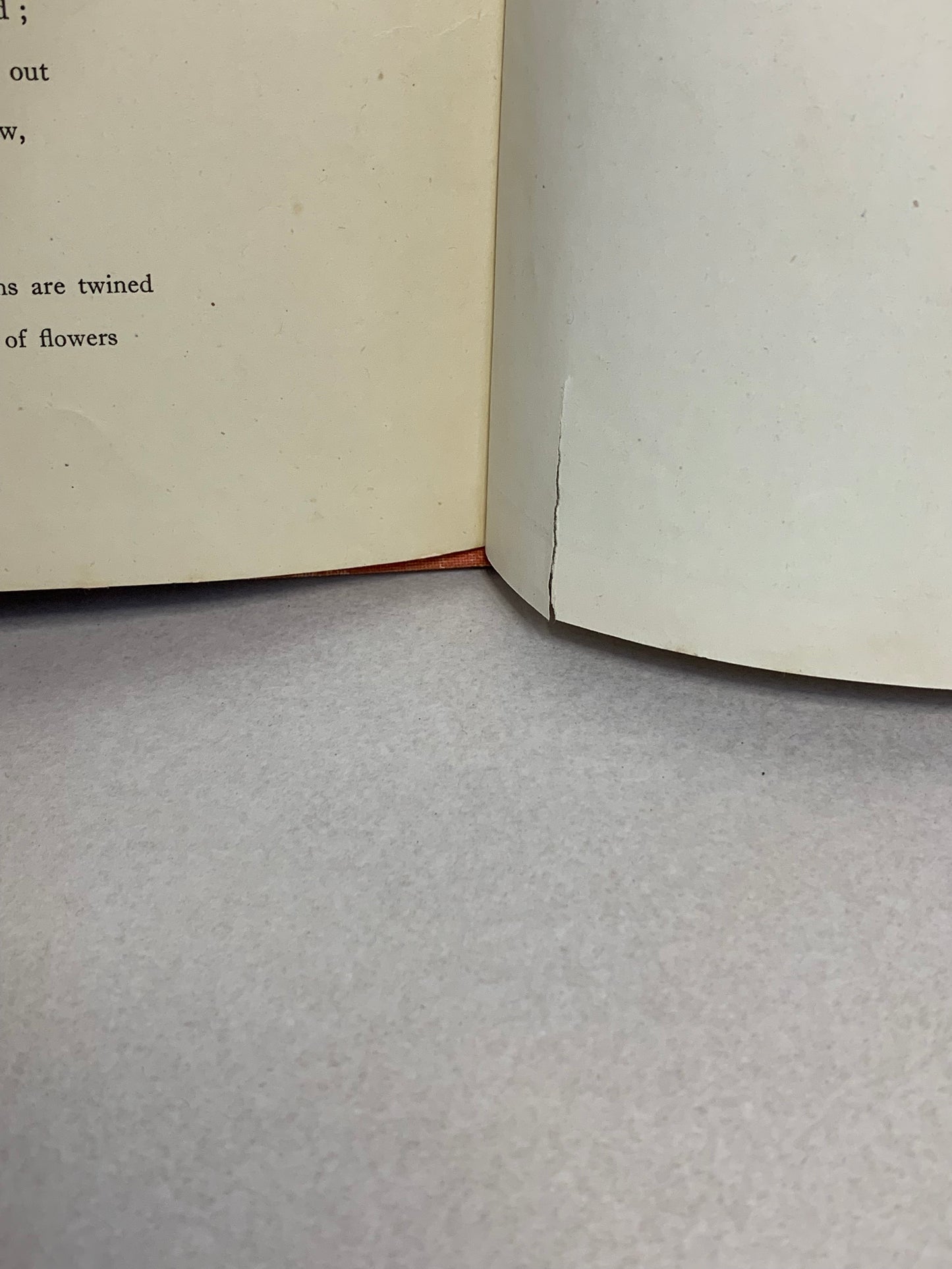 1944 first edition (thus) of Alice’s Adventures in Wonderland by Lewis Carroll, illustrated in colour by A. Rado, published by Newman Wolsey Limited, London and Leicester