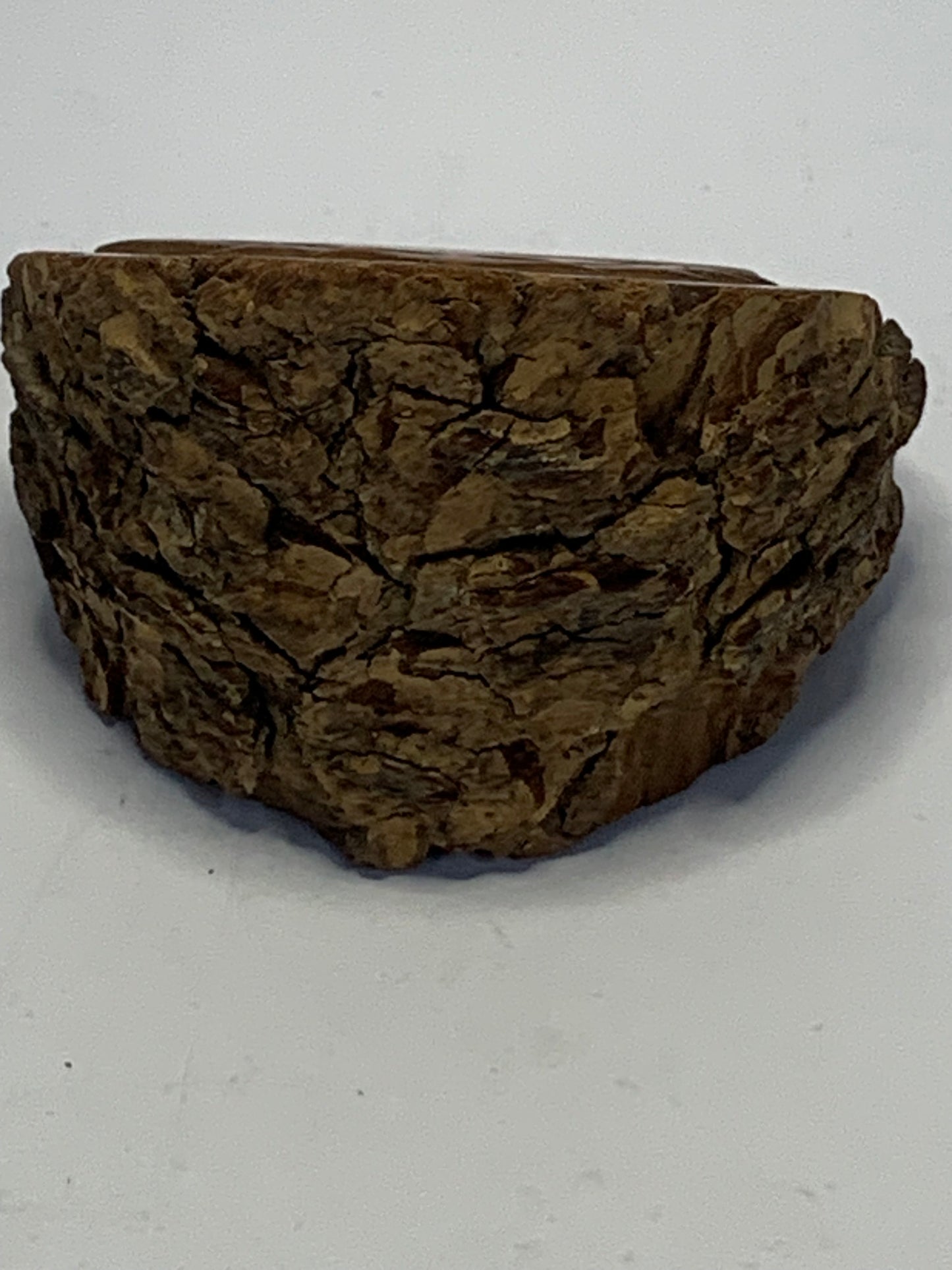 Hand Carved Wood Slice featuring a detailed evergreen tree design carved in relief