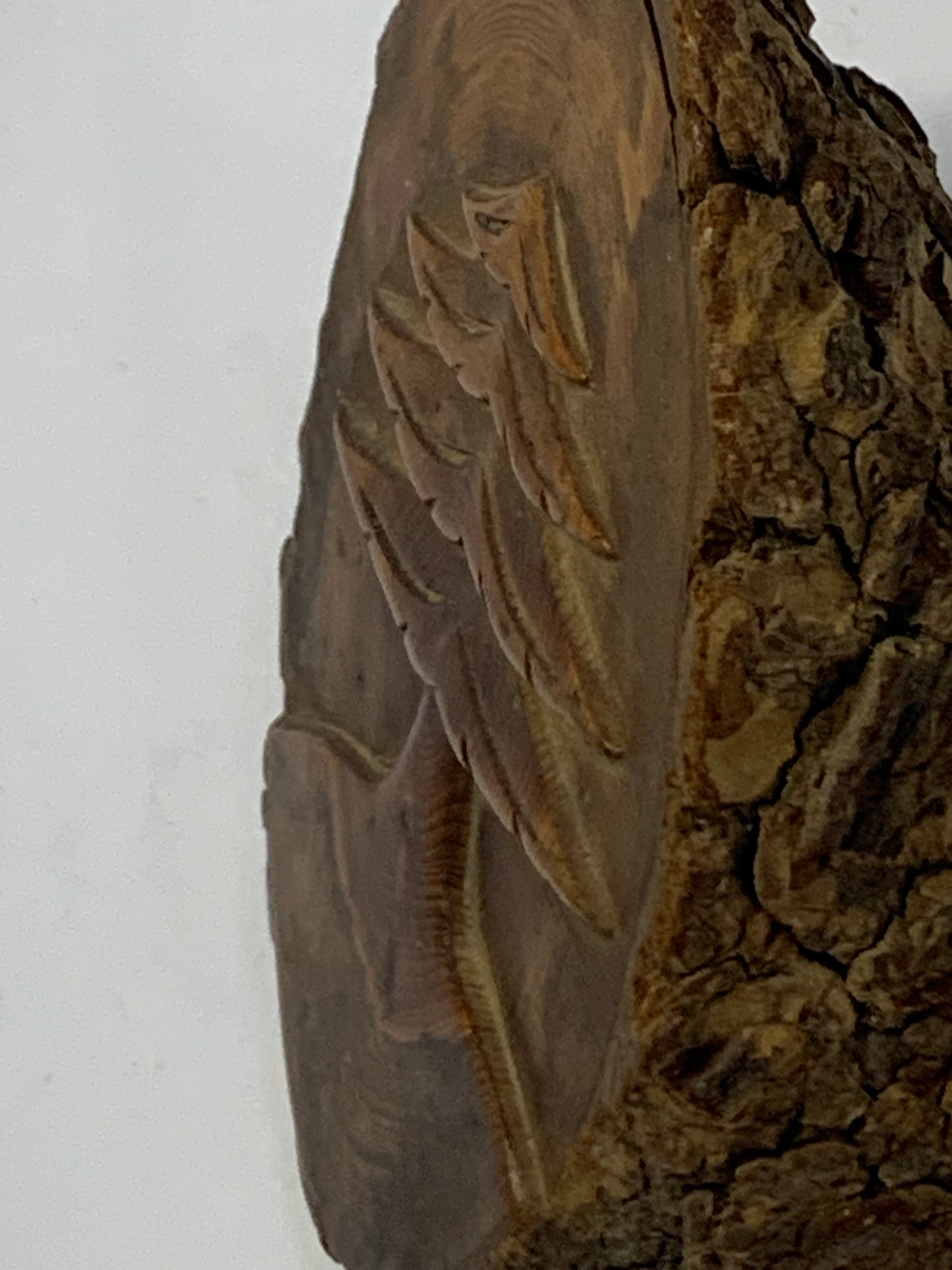 Hand Carved Wood Slice featuring a detailed evergreen tree design carved in relief