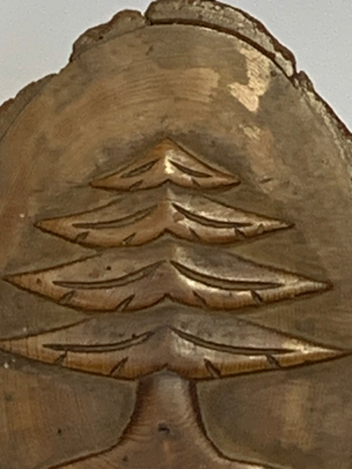 Hand Carved Wood Slice featuring a detailed evergreen tree design carved in relief
