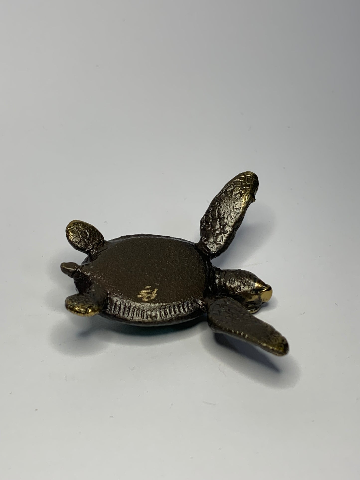 Pete Smit Australian Bronze Turtle Sculpture