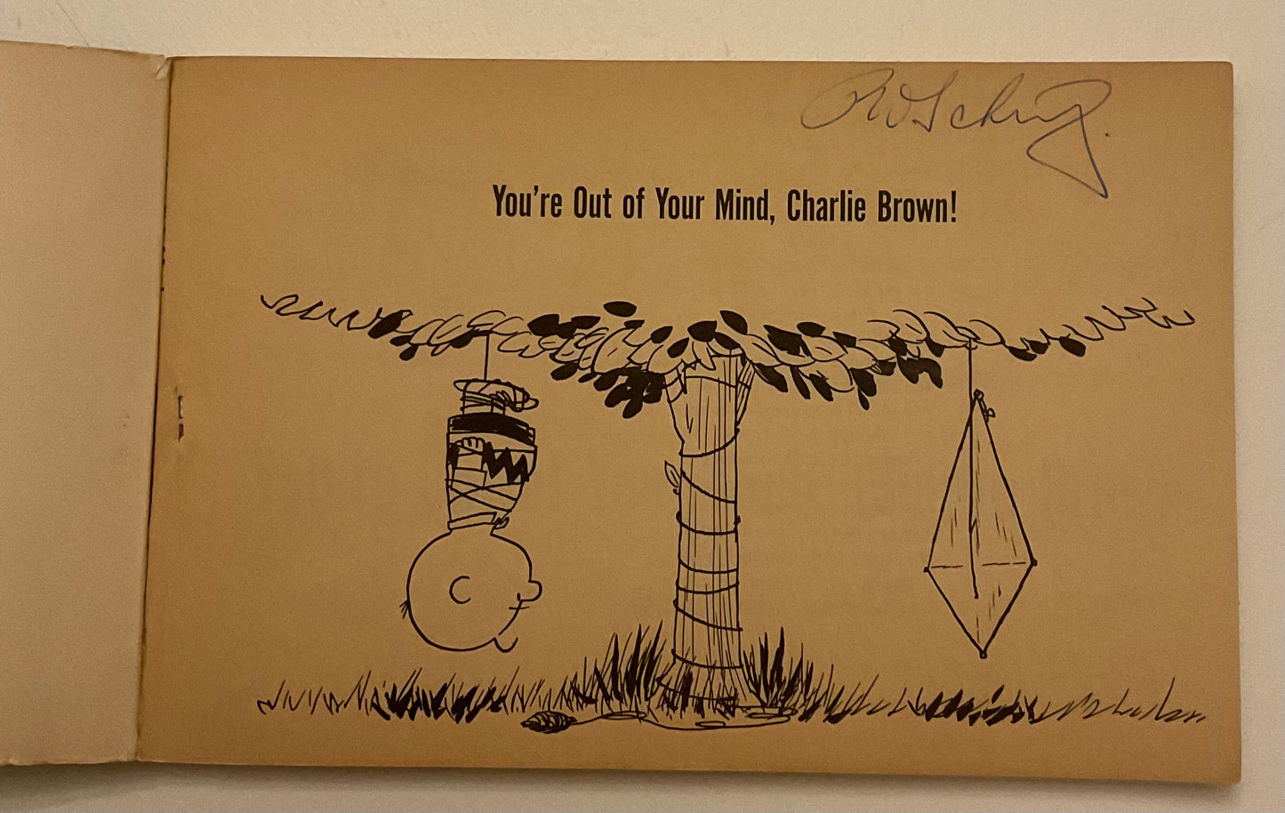 You’re Out of Your Mind, Charlie Brown! by Charles M. Schulz, published by Holt, Rinehart and Winston.