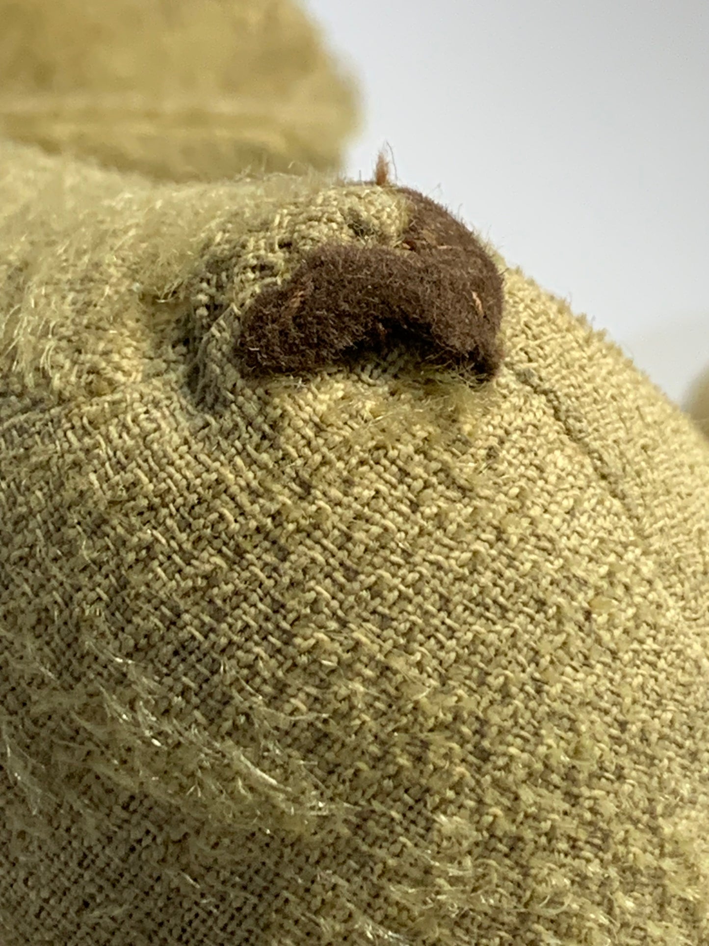 Rare Antique Hessian/Burlap Teddy Bear - Early 1900s