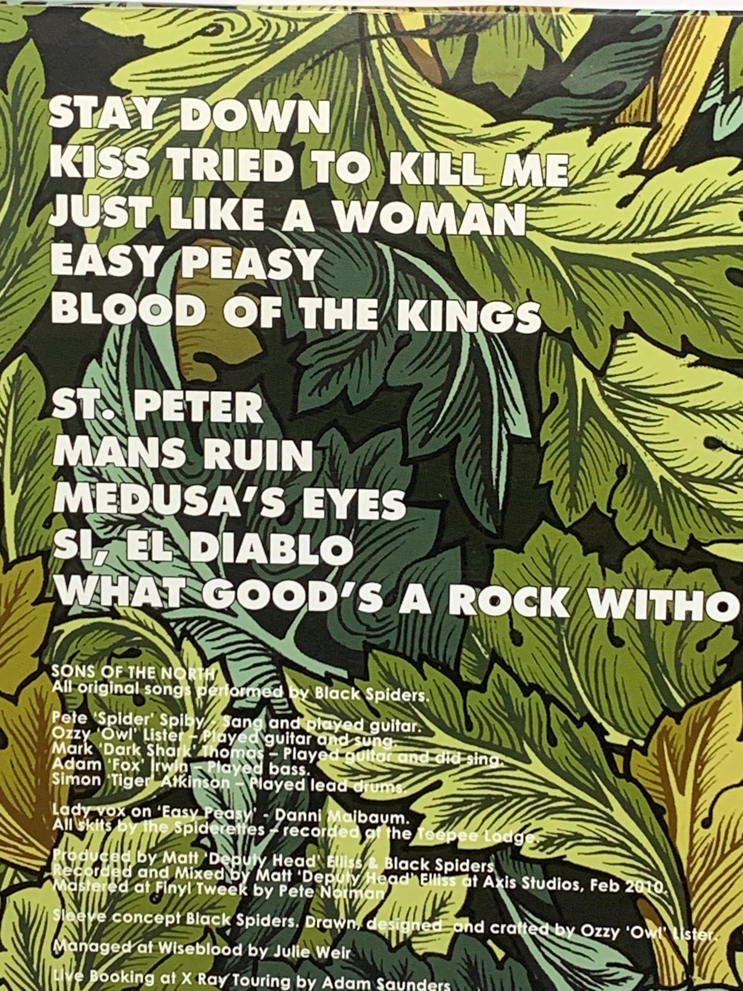 Black Spiders - Sons of the North
Vinyl Album
