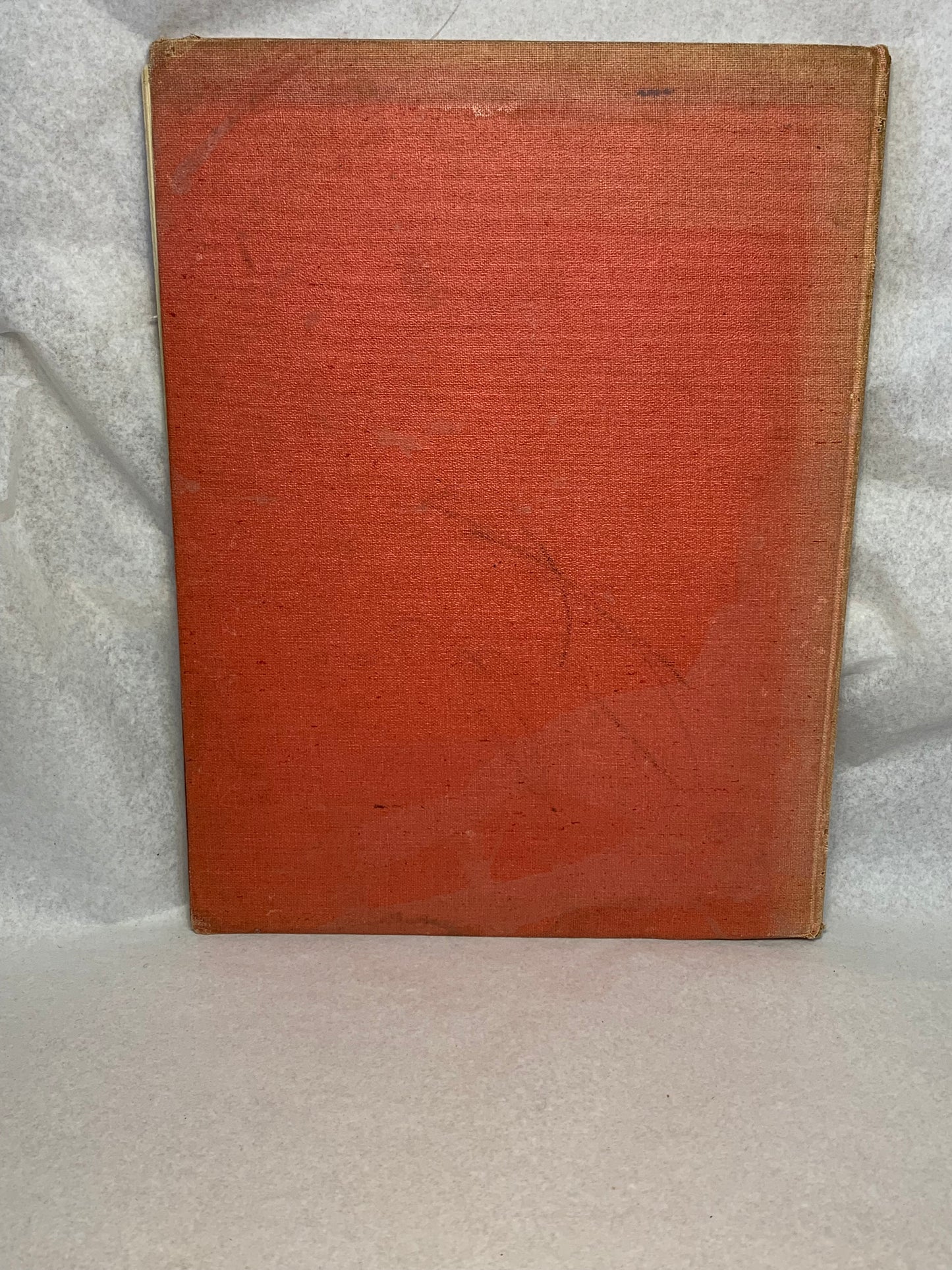 1944 first edition (thus) of Alice’s Adventures in Wonderland by Lewis Carroll, illustrated in colour by A. Rado, published by Newman Wolsey Limited, London and Leicester