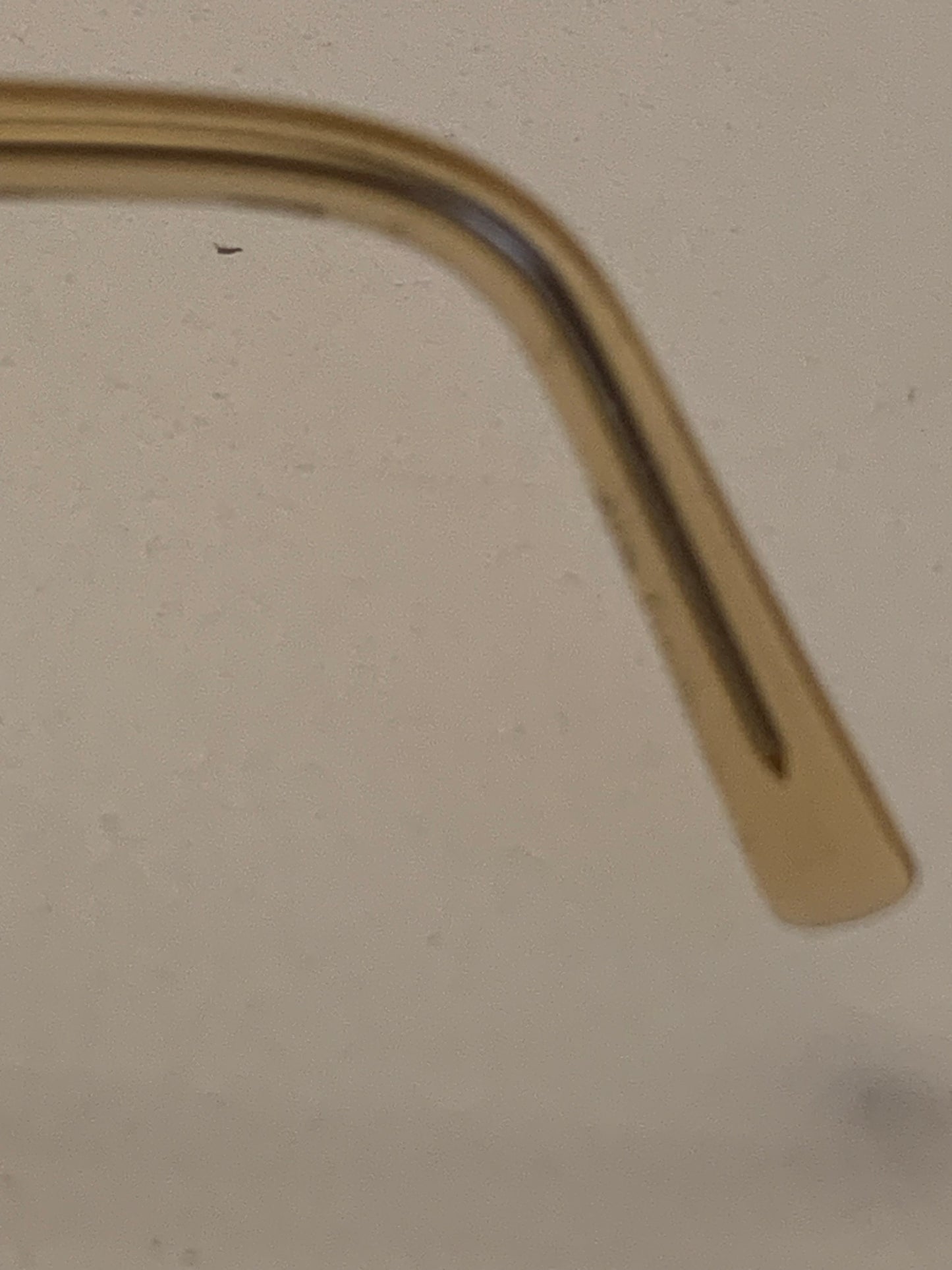 Carla Zampatti Sunglasses
