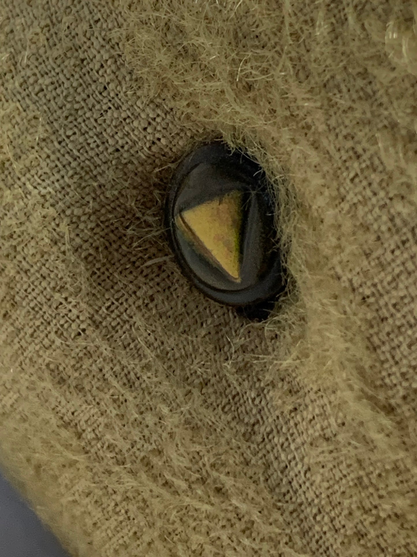 Rare Antique Hessian/Burlap Teddy Bear - Early 1900s