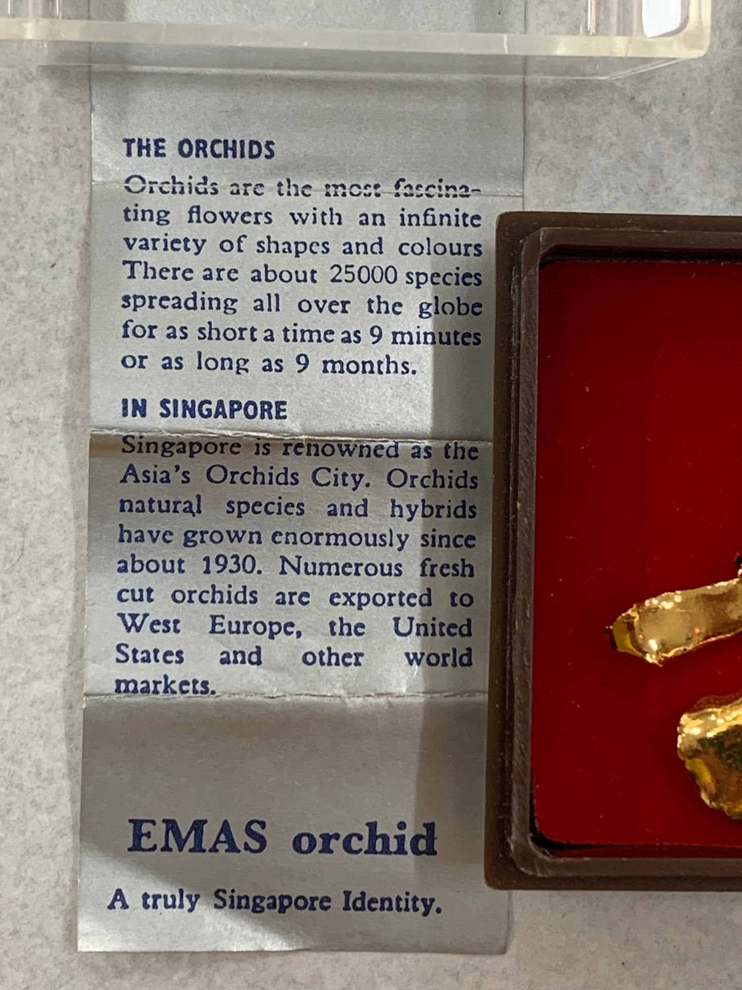 Gold Plated Real Orchid Pendant